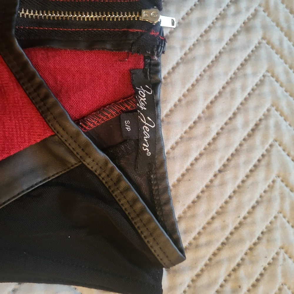 Foxy - Picture 3 of 3